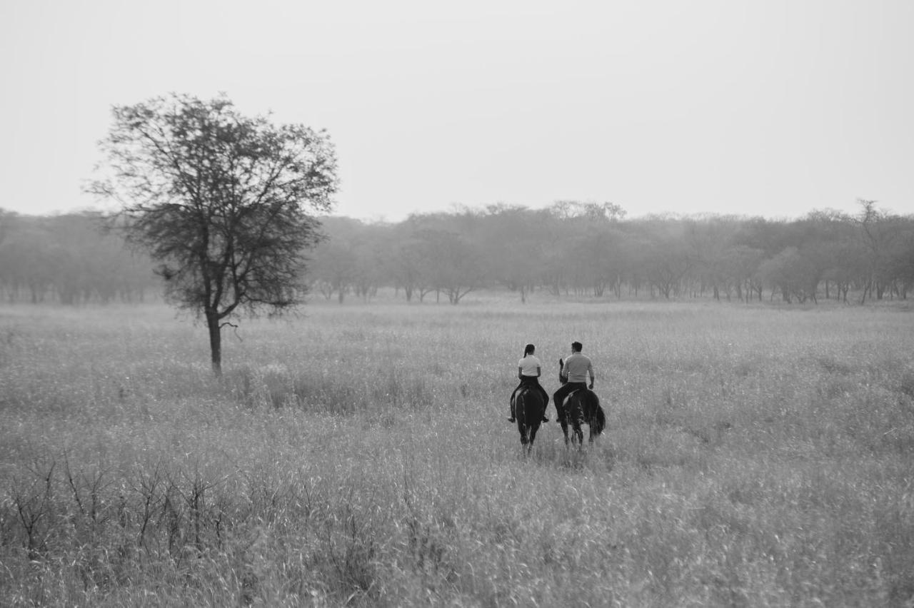 Lilayi Lodge Lusaka Exteriör bild